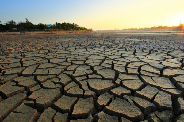 Close up of dry, cracked mud in a lakebed or reservoir withgreen  trees in the distance and yellow sun set; concept is drought